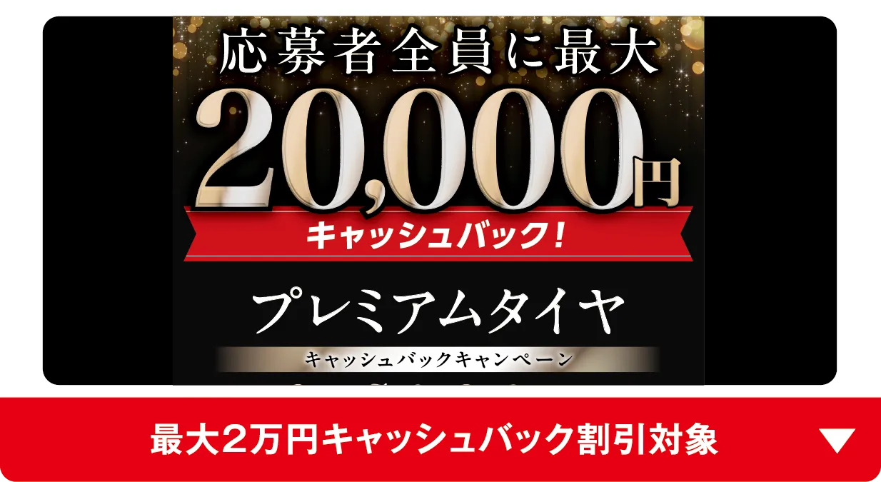 最大2万円キャッシュバック割引対象