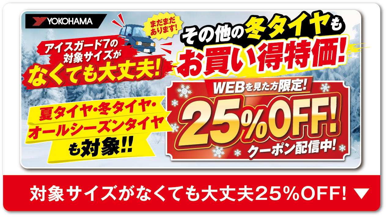 冬タイヤもお買い得特価WEBを見た方限定２５％OFF